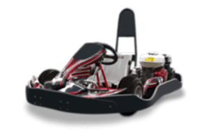 Карт Micro Xti