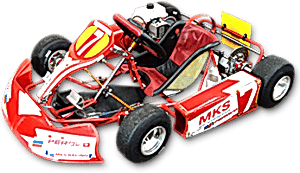 Карт Birel